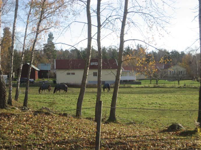 stall, ridhus, ridstigar och hagar.