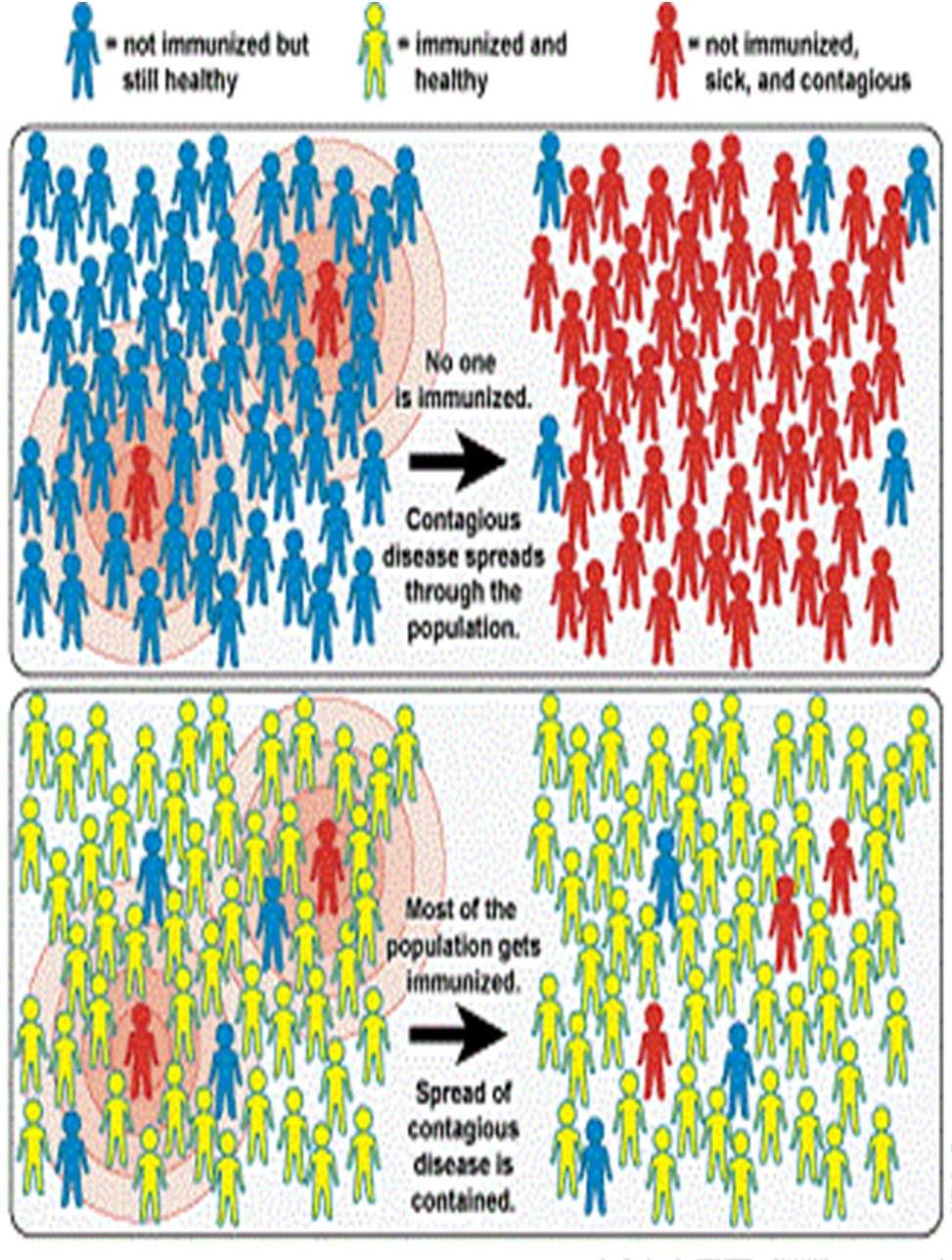 Mässling och immunitet Mässlingsvaccin rapporterades ha samband med autism och flera andra sjukdomar på 1980-talet Detta har senare helt tillbakavisats