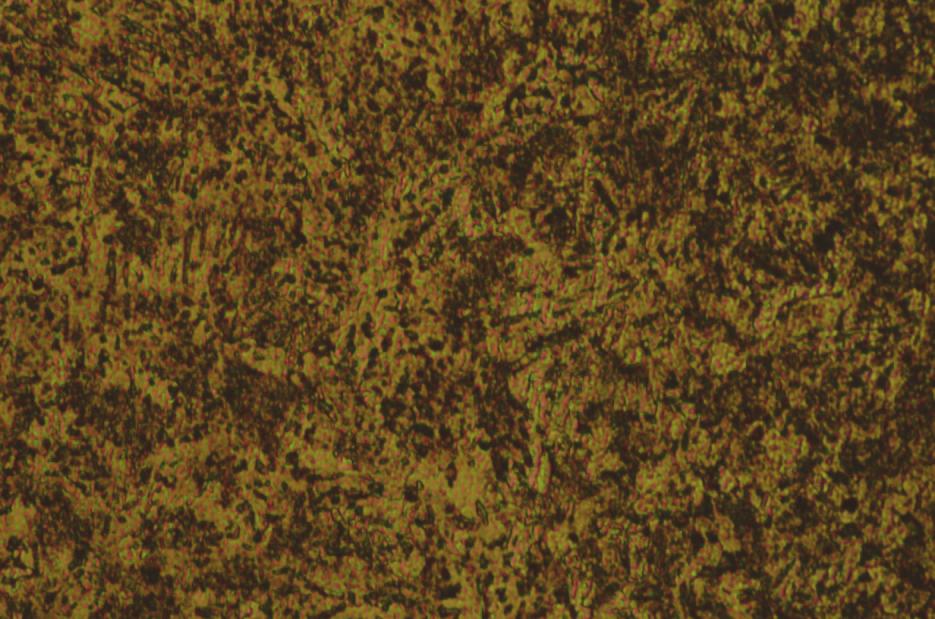 Figur 9: Mikrostrukturbild av CW608N, 400 gångers förstoring. 6.4 CW724R Legeringen marknadsförs under namnet Ecobrass, detta då den är helt blyfri.