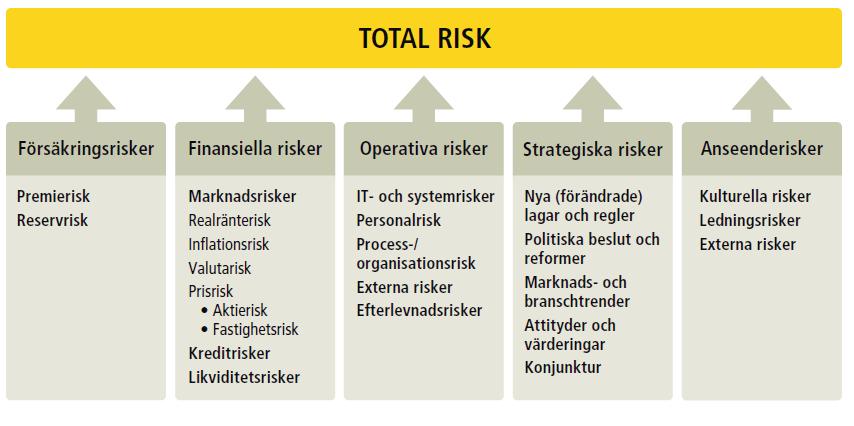 B.3 Riskhanteringssystem inklusive egen risk- och solvensbedömning B.3.1 