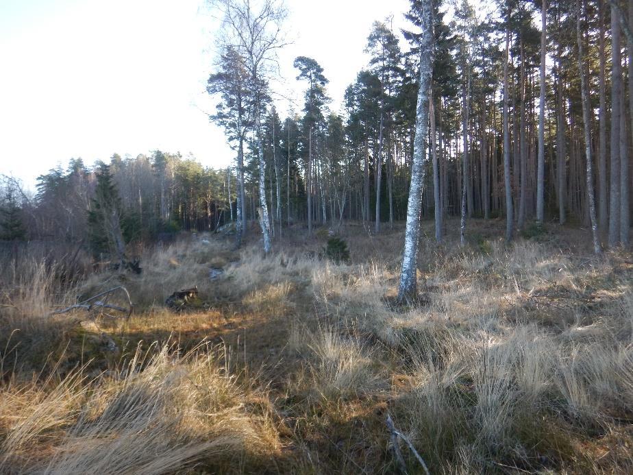 Fagrabo, Nybyggnad bostäder samt skola, Vårgårda kommun PM Geoteknik