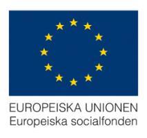 2016-06-13 2016/00333 Insatser inom Europeiska regionalfonden, ERUF Projekt i denna utlysning kan innehålla aktiviteter som faller inom ramen för Europeiska regionala utvecklingsfonden.