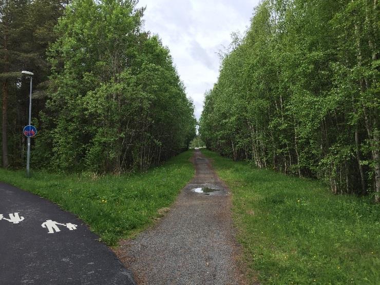 Objekt 2. Gång- och cykelväg 4. Visst naturvärde Objekt 2 är en GC-väg. Kanterna av cykelvägen växer den fridlysta orkidén tvåblad, uppskattningsvis ett 50-tal plantor.