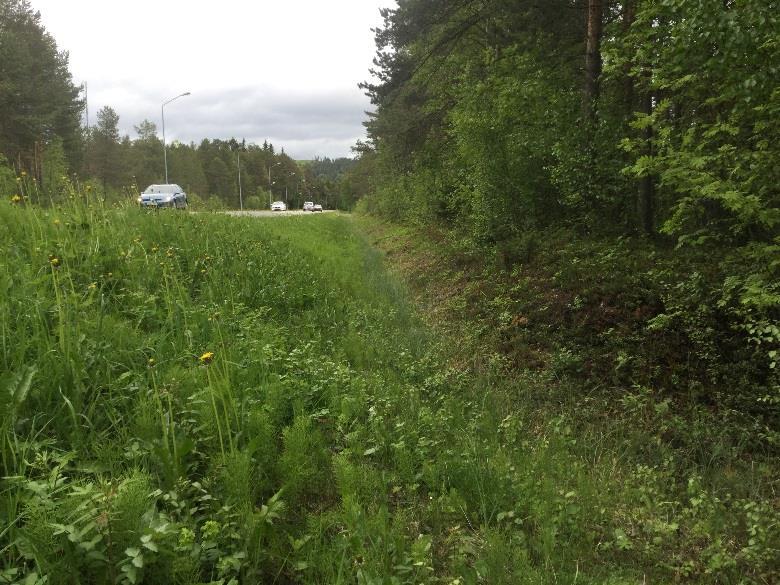 Objekt 5. Vägkant 4. Visst naturvärde Objekt 2 är en vägkant till Vallsundsvägen. Den är av Trafikverket utpekad som en artrik vägkant. Den har en annan karaktär än vägkanten i objekt 4.