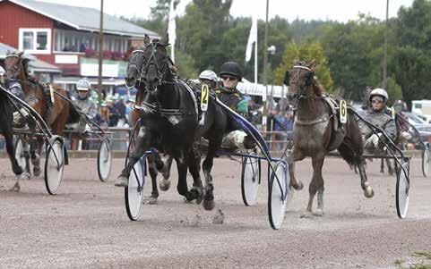 nyhetsbörsen augusti2017 170806 Stern och Lina inledde travfesten Det blev en succéartad start på gårdagens V75-tävlingar på Rättvik.