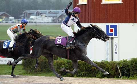 Uttagningar till Norskt Travkriterium stod på programmet och när tävlingarna var avslutade hade de säkrat en av de 12 finalplatserna.