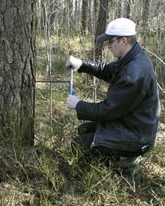 MoR-UTREDNINGEN OCH SAMVERKAN VMF SDC VMR Under 2001 utredde virkesmarknadens parter förutsättningarna att sammanföra virkesmätningen och virkesredovisningen i Sverige i en gemensam organisation.
