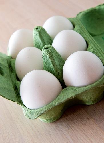 Förslag och önskemål från äggbranschen: Mer kunskap efterfrågas kring: - Foder (eget