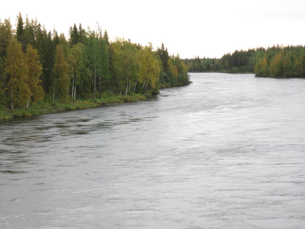 Här finns också oskyddade trafikanter som upplever vägmiljön i en annan skala och hastighet än biltrafiken. Det ställer högre krav på detaljutformningen.