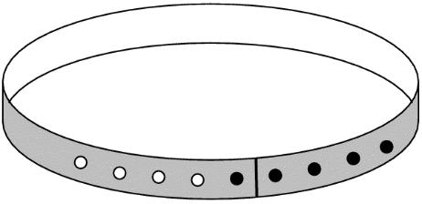 Hur mycket längre är det armband som sätts fast i ett hål än det som sätts fast i alla hål?