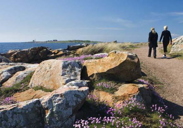 4.9. Uppleva och göra Halmstad är en kommun med puls en kommun med ett varierat och inspirerande utbud av aktiviteter och rika möjligheter att utöva kultur och idrott.