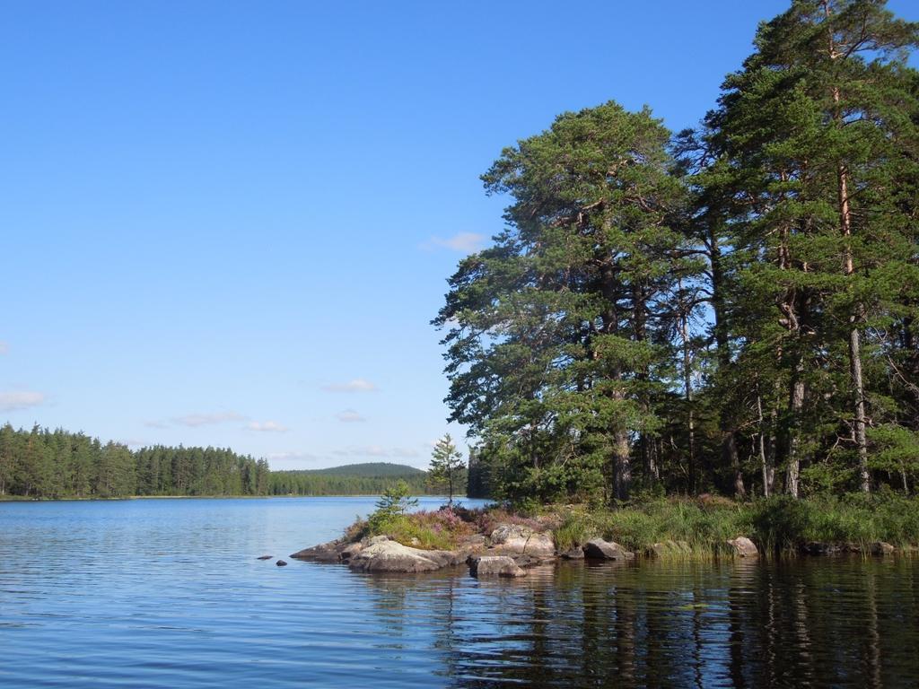 LÄNSSTYRELSEN VÄRMLAND BILAGA 4 Referens 2017-02-27 511-2232-2015 Sida 3(3) Äldre tallar längs Stor-Älgsjöns stränder skapar en vacker landskapsbild.