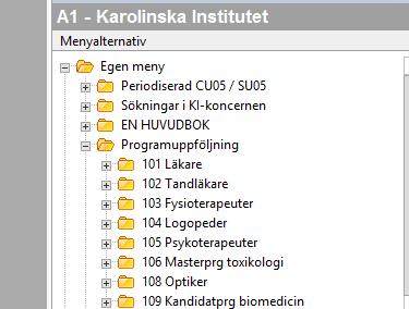 Uppföljning och budget i UBW (Agresso) US följer upp utfallet för utbildningsprogrammen (per program) på en programmen.