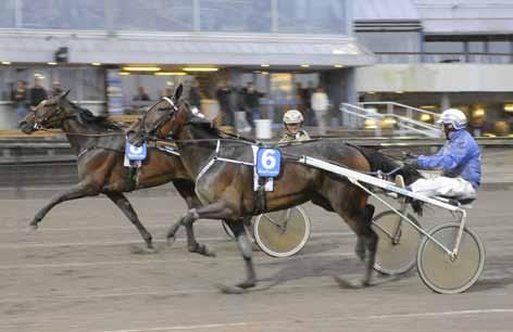 NYHETER 120906 On Hold höll för trycket On Hold och Magnus Jakobsson skördade stora framgånger i somras. Efter en tids vila var de nu tillbaka och fortsätta sitt segertåg.