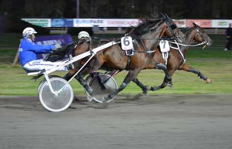 NYHETER 120909 Magnus dubblade på hemmaplan 120913 Global Kitten tog andra raka Magnus Jakobsson vinner med Kosmonaut Broline. Foto: Kurt Einevåg.