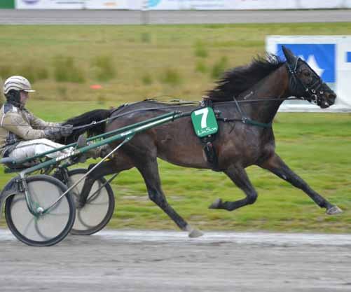 I Hästägarepokalen startade han med 40 meters tilllägg över lång distans och när positionerna var intagna sågs han i femte-par utvändigt.