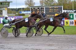 Princess Wine - Startar på torsdag och hon ser normal ut i jobben.