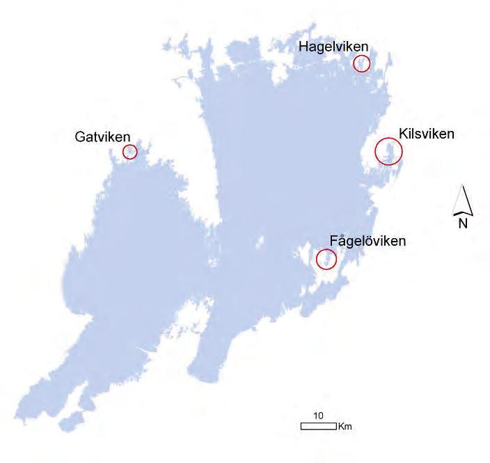 Typvikar Vänern sida 7 2010-2011 Lokalisering Lokalerna är placerade i olika