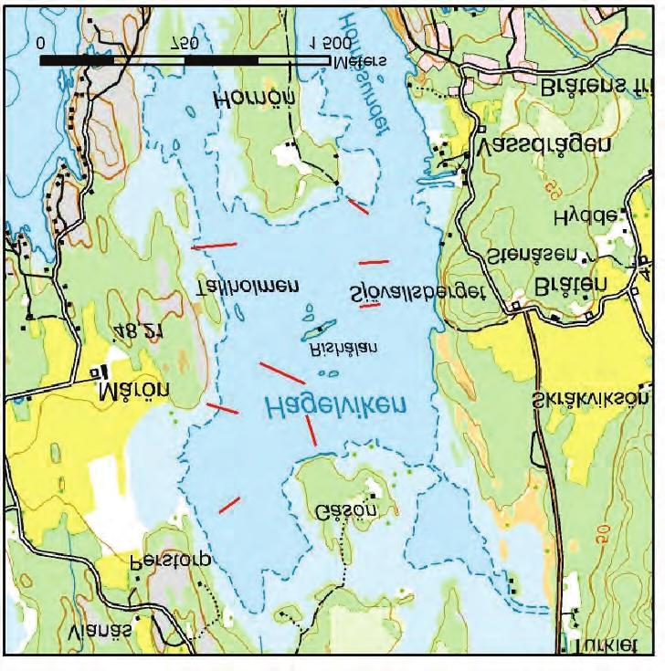 Typvikar Vänern sida 22 2010-2011 inventeringen gjordes dock inga fynd som används enligt tabell 2a NFS 2008:1 och därmed görs ingen ny bedömning för Hagelviken som bedöms ha Måttlig ekologisk status.