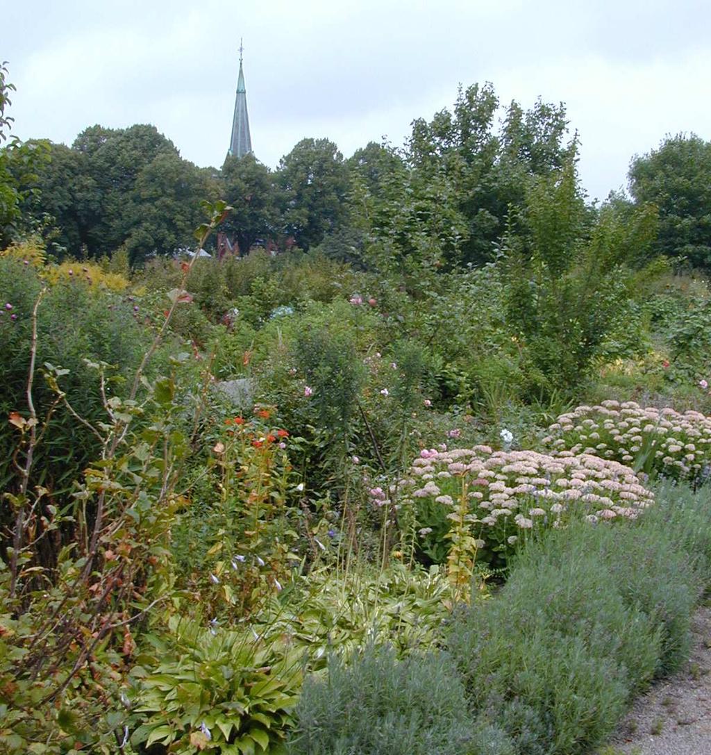 Den extensiva skötseln med friväxande gräs och buskar i Danska parken gynnar framförallt arter kopplade till igenväxning.