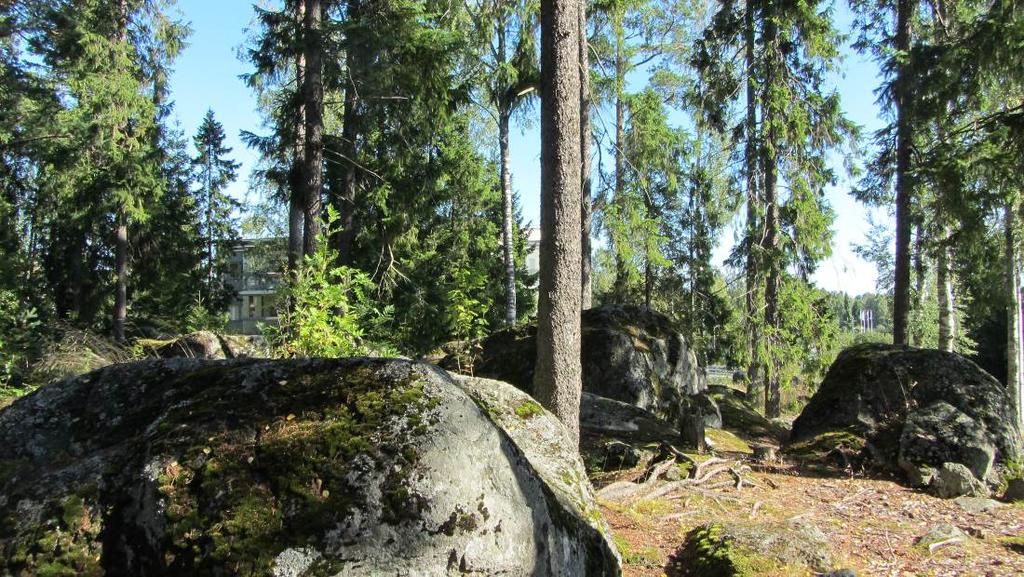 Med tanke på området terrängformer bör i byggskedet uppgöras tomtspecifika riktlinjer för hur dagvatten ska insamlas och avledas.