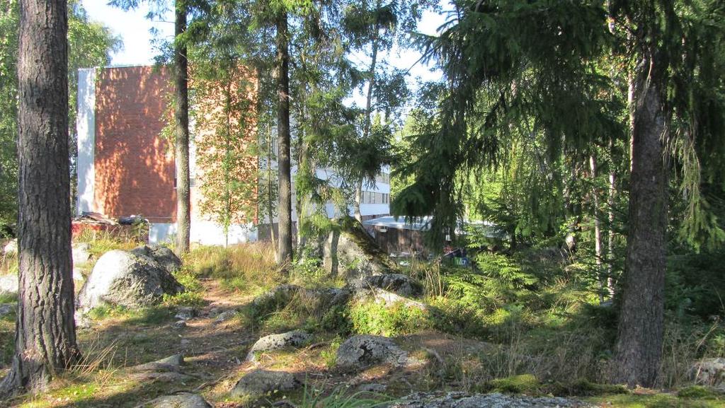 Bild 3 och 4. Vegetation. Naturskyddsprogramområden och Natura-områden På området finns inga områden som omfattas av naturskyddsprogram. På området finns inga Natura-områden. 3.3 Den byggda miljön Planområdet ligger i centrumtätorten Smedsby i Korsholms kommun.