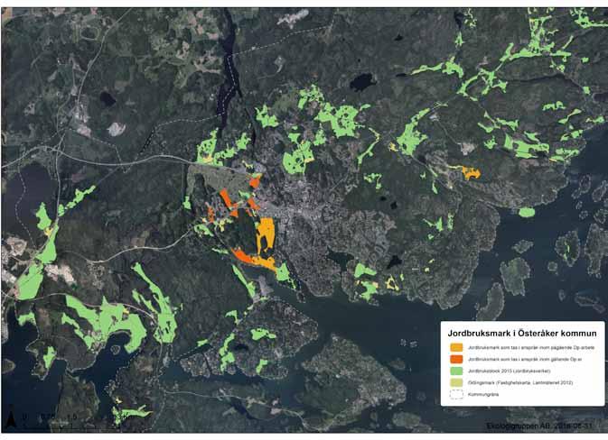 Stadsodling MKB Näsängen Total yta av före detta jordbruksmark med reversibel användning, cirka 6,5 ha Odlingsbar tomtmark, cirka 1,3 ha Odlingsbar parkmark, cirka 2,6 ha Inom planområdet tas cirka