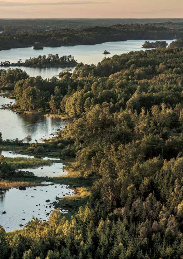 Introduktion 2 Översiktskarta 4 Råshultsrundan 6 Kulturreservatet Linnés Råshult 8 I Linnés hembygd 10 Östra Tångarne naturreservat 12 Höö naturreservat 13 Taxås naturreservat 14 Kronans