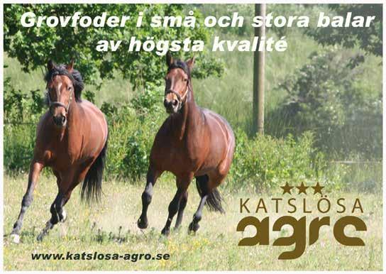 e Maharajah - 7: --0,a 0 000 : -0-7,a 07 000 Tot: 8 -- Gill Silvio e Supergill Eriksson C Kr /0-8/ 0n, c c 8 Uppf: Stall Silvio AB, Åstorp Eriksson C J 9/0 - / 0 d 9 ag c c 90 0 Äg: Stall Silvio AB,