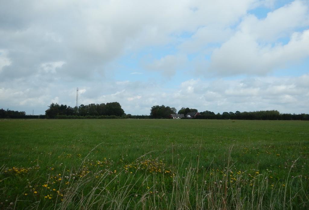 Väg 111 förbi Viken, Vikens och Allerums socknar, Höganäs kommun, Skåne.