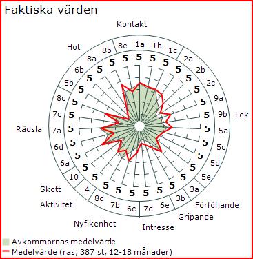 Tik Hanne