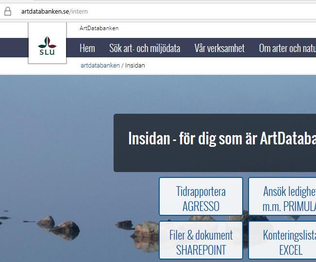 Kommunikation Hantera och utveckla s