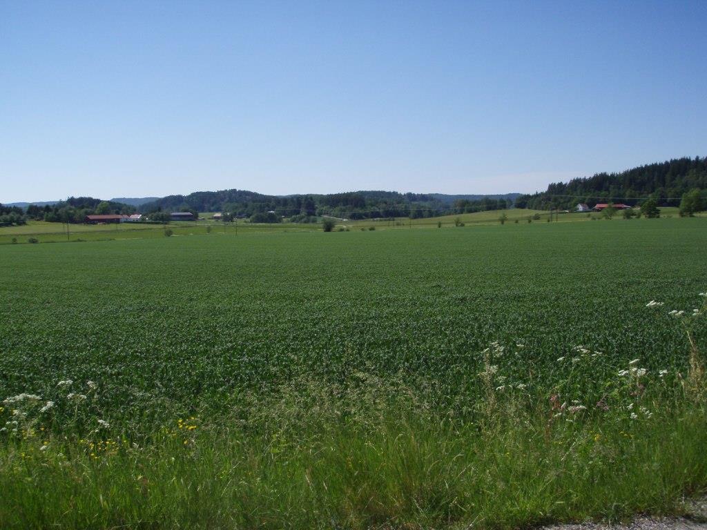 Figur 8: Inom tillrinningsområdet till Håby vattentäkt finns en betydande andel jordbruksmark.