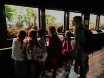 SKOLMATERIAL Allt skolmaterial till primaire är redan inköpt av sektionen. För de franska klasserna hittar Ni information om nödvändigt material på primaires hemsida http://www.ecole-internationale.