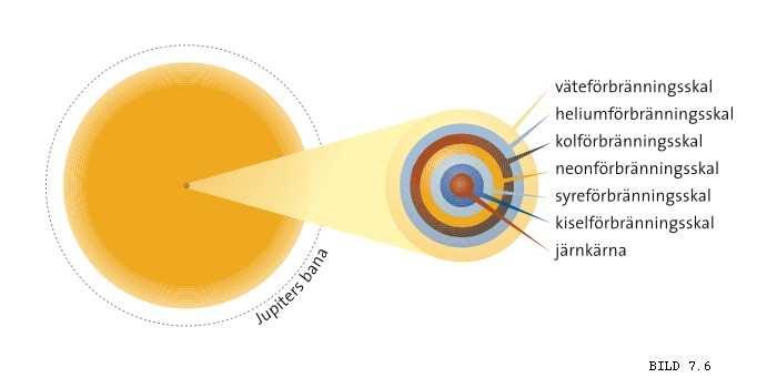 Vita dvärgar i dubbelstjärnesystem kan ge upphov till Supernovor typ Ia Vägen fram till en supernova typ II Den inre strukturen hos en mer massiv stjärna när vätet börjar ta slut Förbränning av Väte