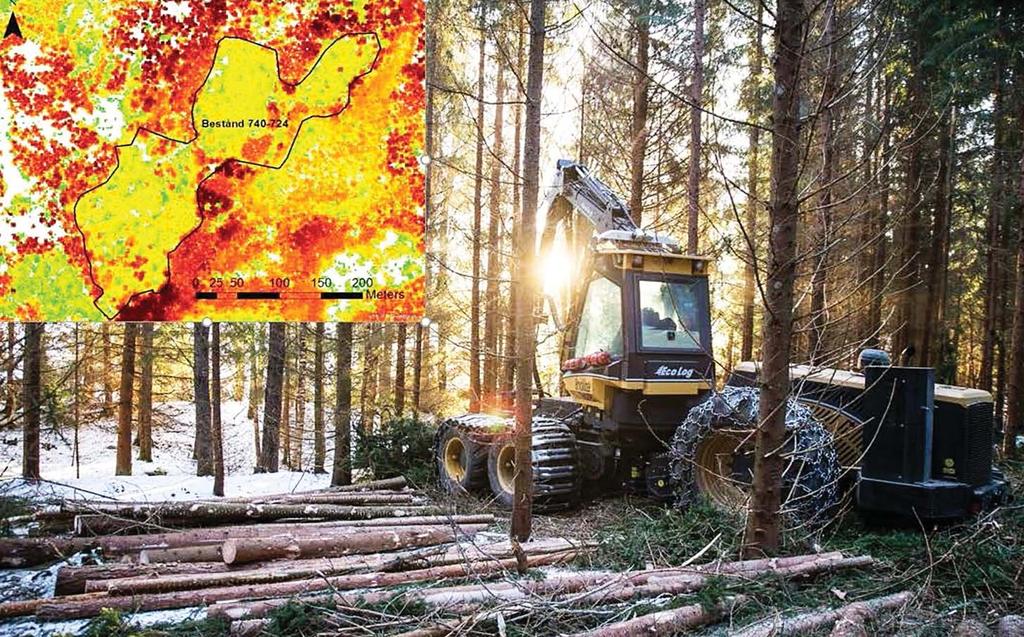 Arbetsrapport Från Skogforsk nr.