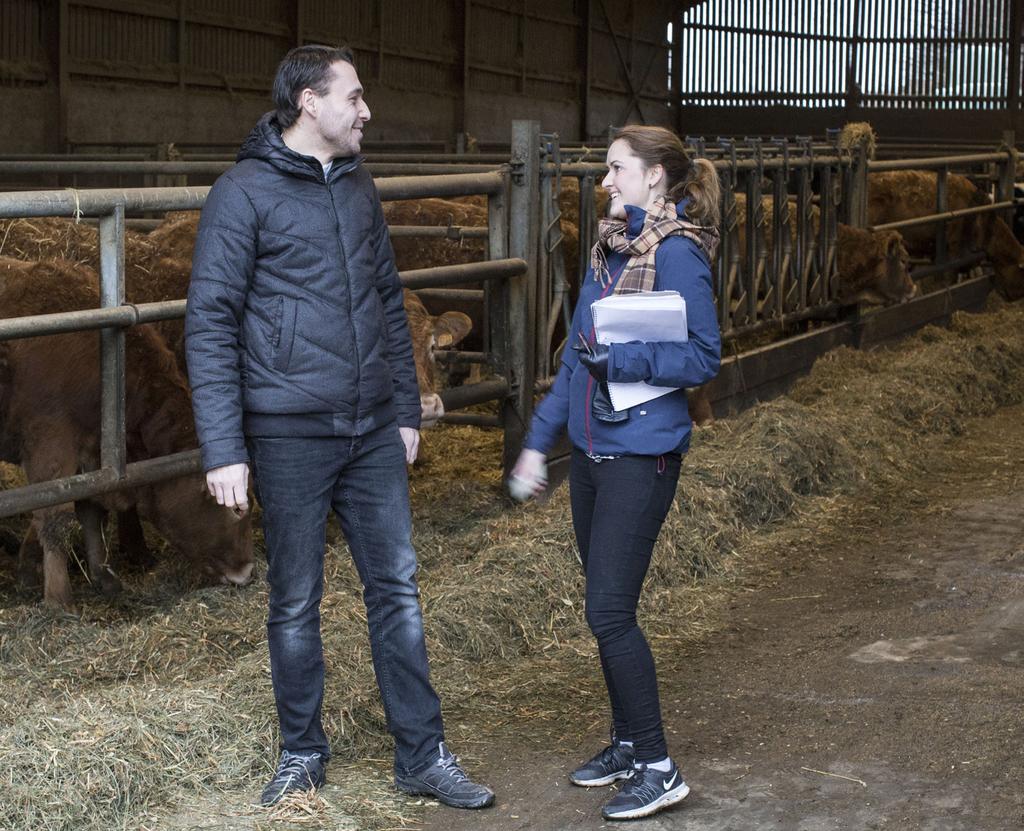German Bach. I nötköttsproduktionen finns 120 nötköttsdjur av rasen Limousin. Germains ögon lyser när han berättar om sina nötköttsdjur.