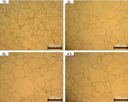Teoretiskt ramverk Studien från artikeln Abnormal grain growth in AISI 304L stainless steel, visade mikrostrukturen under en abnorm korntillväxt som tillträder när finkorntillsatserna slutar verka.