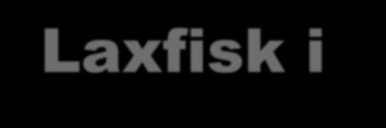 Laxfisk i sälföda (riktade studier)?