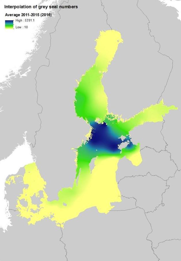 Antal Gråsäl År 1900: 100 000