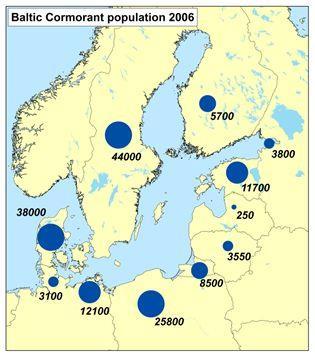 Populationsutveckling, storskarv Inventering under häckningen (juni) http://helcom.