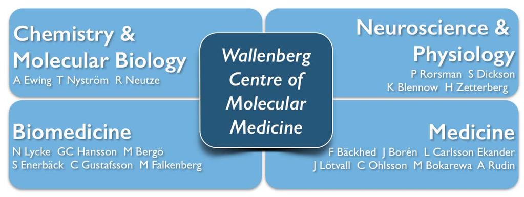 Specific research environments and examples of prominent scientists within the field of molecular medicine at the University of Gothenburg Below we portray the research environment within the broad