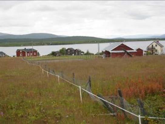 Kaalasjärvi Kommun Beskrivning Motiv för urval Skydd Tillgänglighet Kiruna Kaalasjärvi, grundad på 1800- talet, har en blandad bebyg- gelse med till största delen egnahem från omkring 1920-1940-