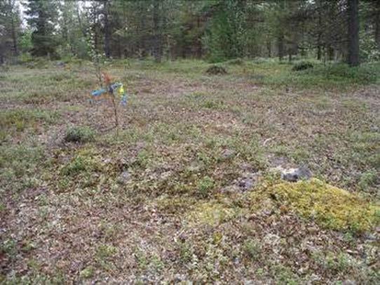 Området vid Louteenkoski är en rik fornlämningsmiljö med tydliga och välbevarade