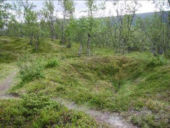 fångstmetod som varit så vanlig i hela Norrland. Kulturmiljön har ett högt kulturhistoriskt värde. Fornlämningarna skyddas enligt kulturminneslagen.