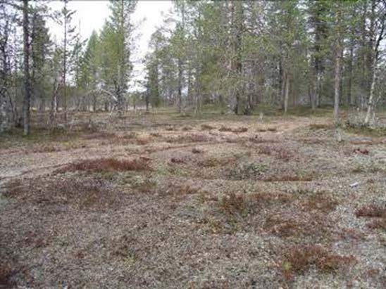 Vivungi Kommun Beskrivning Motiv för urval Skydd Tillgänglighet Nyttjande Referenser Kiruna Fornlämningskomplexet vid Vivungi består av mänder av fångstgropar, men även kokgropar och