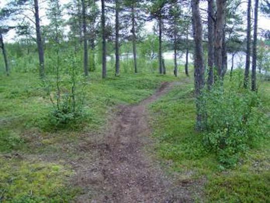 Vuontisjärvi Kommun Beskrivning Motiv för urval Skydd Tillgänglighet Nyttjande Referenser Kiruna Inom området