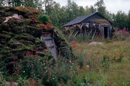 Här finns bostadskåtor och getkåtor, men även lämningar efter äldre visteplatser som härdar, kåtatomter, röjningsrösen, stensträngar och röjda ytor.