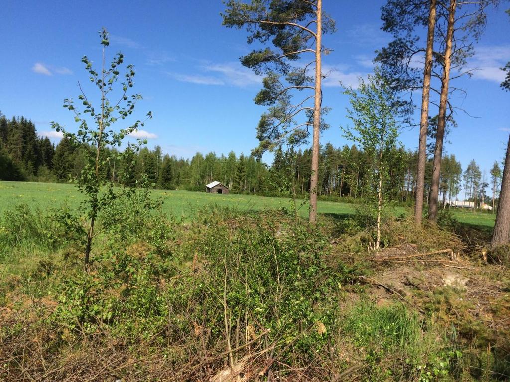 7 Bild 5: Detaljplanområdet består av vallåkrar och skog. Vy mot nordväst från ändan på gatan mellan kvarter 100 och 108. 5. Planläggningens konsekvenser Detaljplanen kan ha konsekvenser för: Landskaps- och bybilden Flora och fauna Trafiken Vattenkvaliteten Företagande och arbetsplatser Samhällsekonomin 6.