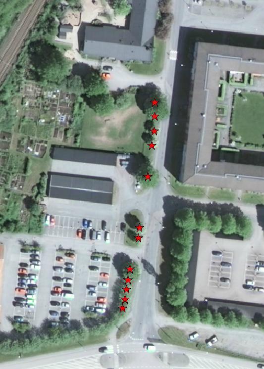 3. Trädmiljöerna på västra sidan av Nymilsgatan Längs parkeringen vid gatans södra del växer en planterad trädrad med rönn och lind.